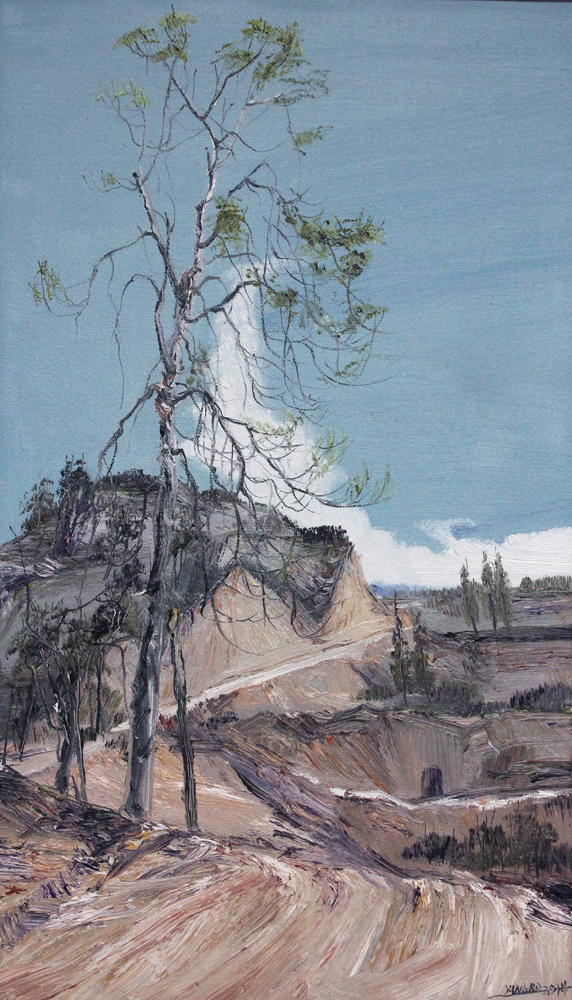 祥云初40x70CM