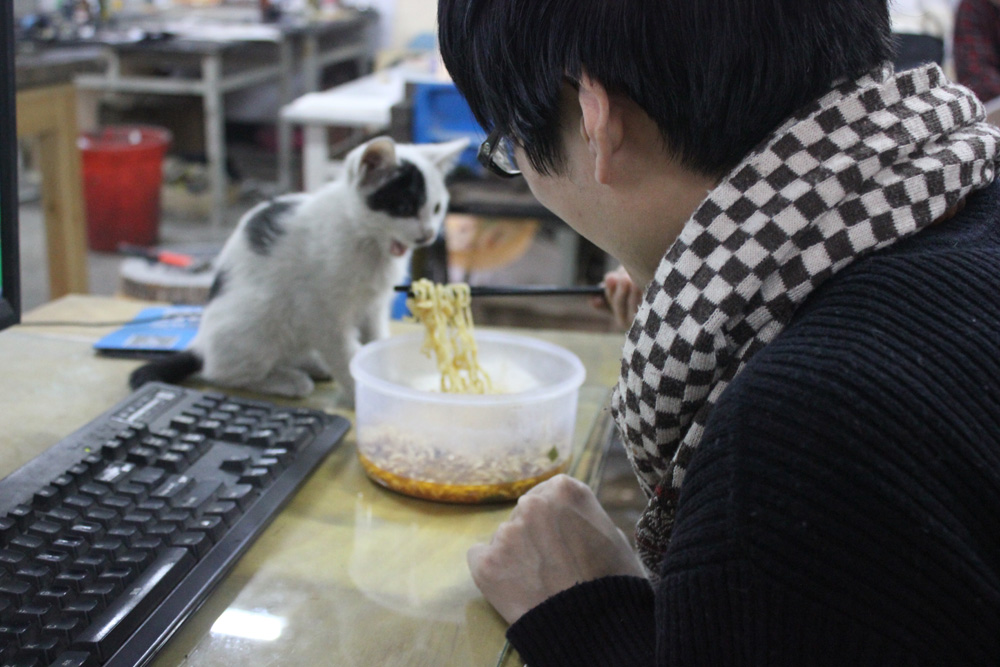 工作至于吃饭时小猫也来蹭吃1