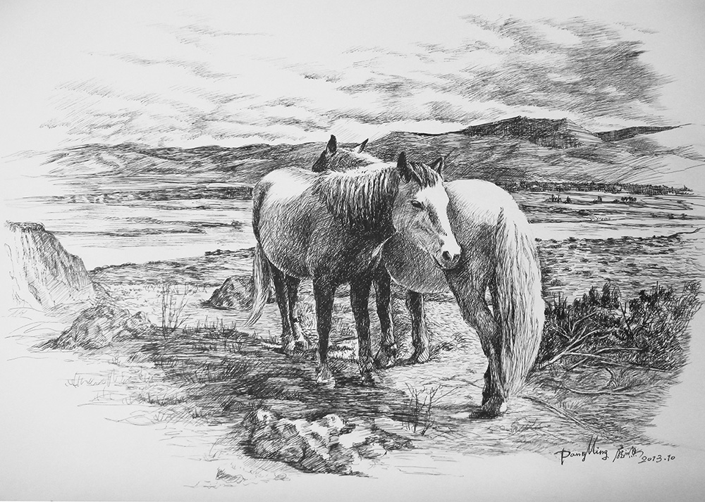 钢笔画《卓玛家的马》58×44cm