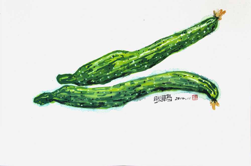 黄瓜-