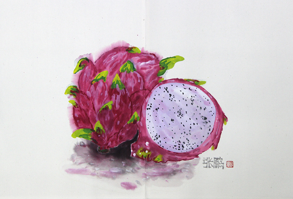 火龙果-