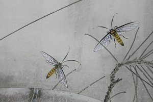 局部