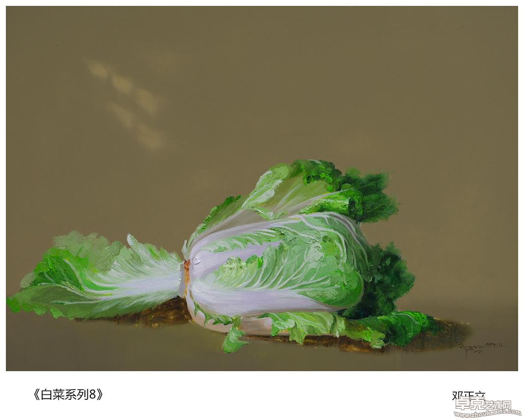 白菜系列8