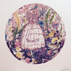 鸟笼森林