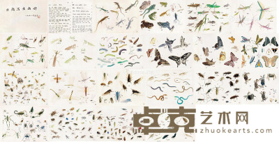 俞致贞 1958年作 虫类写生 25×35cm×20