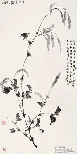 咏红蓼