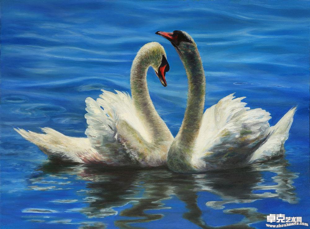 天鹅70x90cm