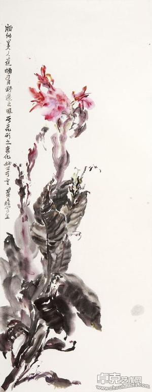 美人蕉
