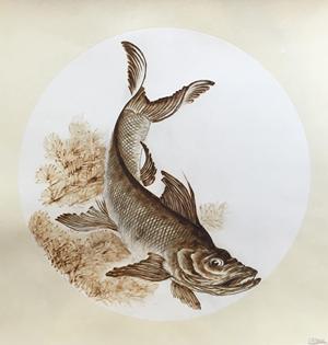 太白湖鱼