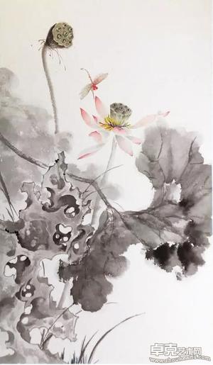 荷系列02 