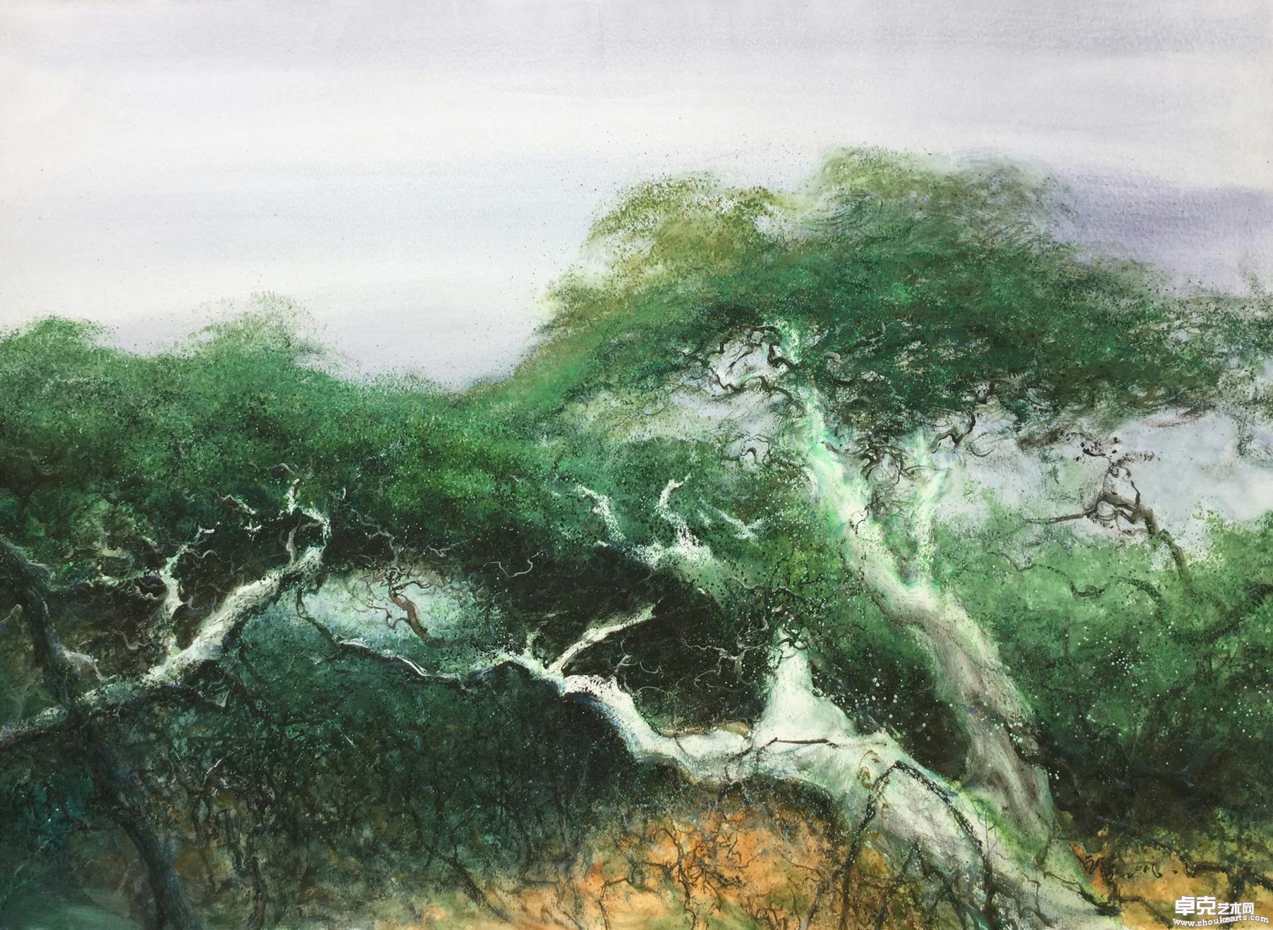 《苍翠》56x78cm