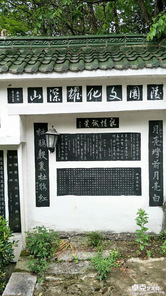 照片 357