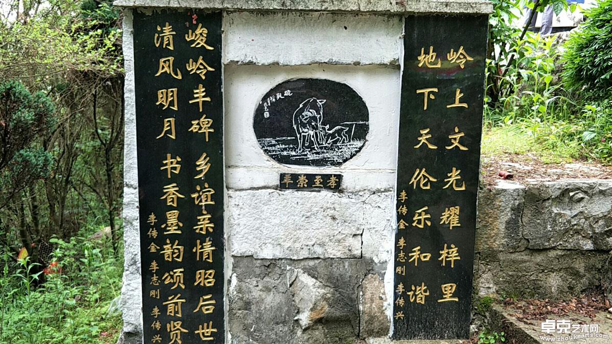 照片 358