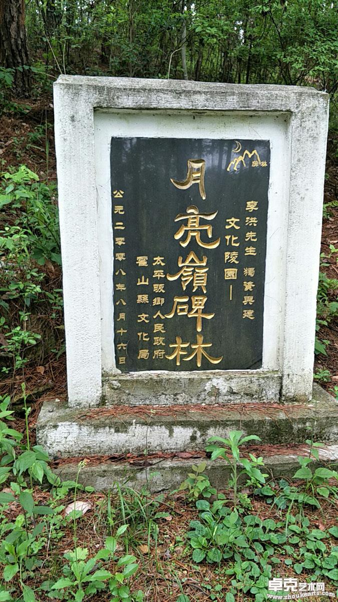 照片 359